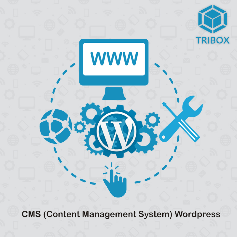 Tribox,Web Design,Web Shop,Web Developer,Web Development,Website